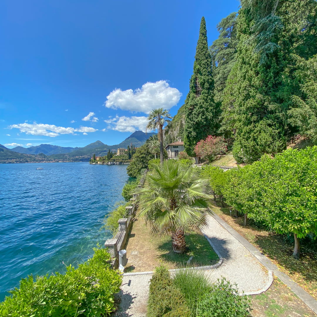 Villa-giardino-palme
